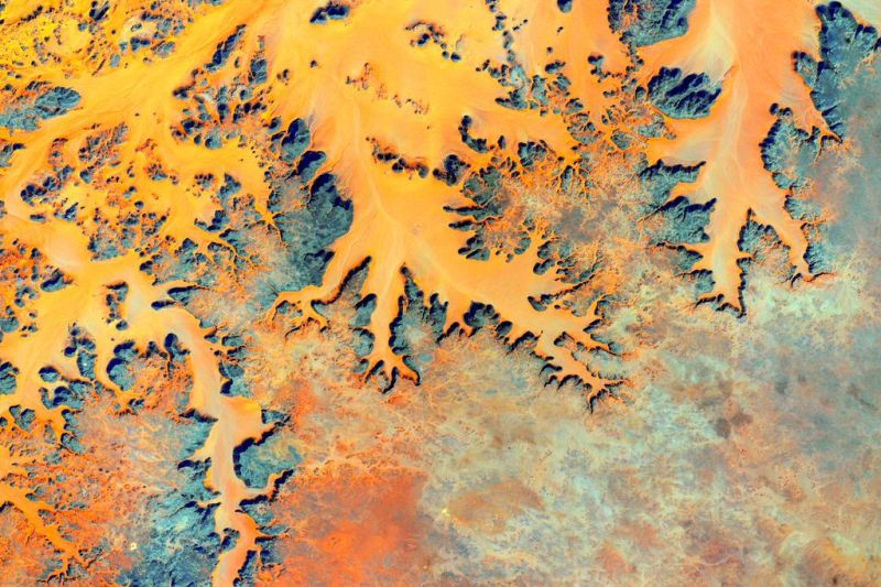 Illustration for article titled These Are Our Favorite Earth Images of 2015
